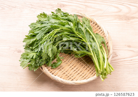 春菊 春菊 126587623