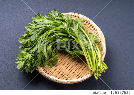春菊 126587625