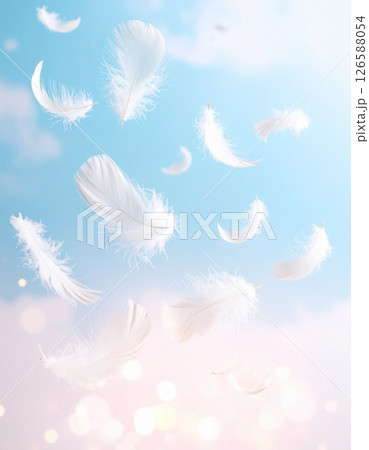 ふんわり漂う白い羽の夢 126588054