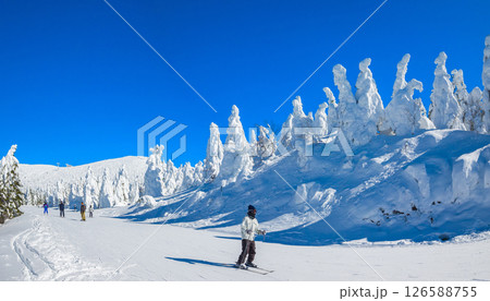 樹氷原コースと遠くに地蔵山頂を望むパノラマ (山形県、蔵王温泉スキー場) 126588755
