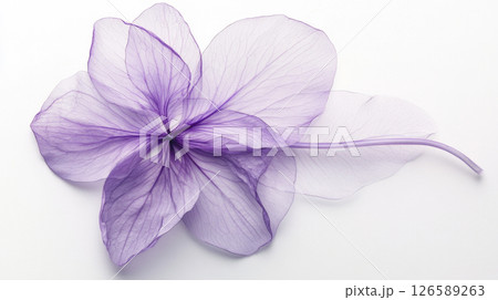 Ethereal Translucent Flowers in Soft Pastel Shades. BAnner 126589263