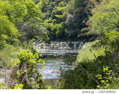 渓谷を流れる猪名川の風景 126589682