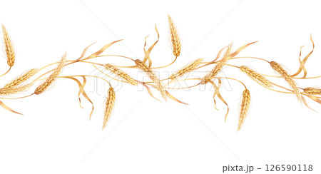 Seamless border of wheat Seamless border of wheat 126590118