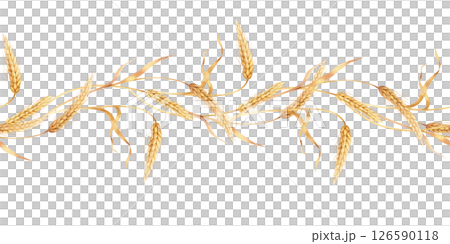 Seamless border of wheat 126590118