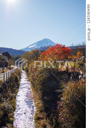 晴天の早朝に清々しい雄大な富士山 晴天の早朝に清々しい雄大な富士山 126590499