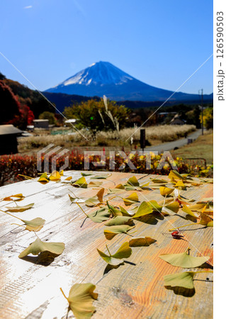 晴天の早朝に清々しい雄大な富士山 126590503