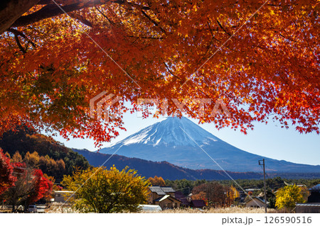 晴天の早朝に清々しい雄大な富士山 126590516