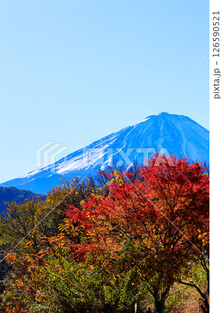 晴天の早朝に清々しい雄大な富士山 晴天の早朝に清々しい雄大な富士山 126590521