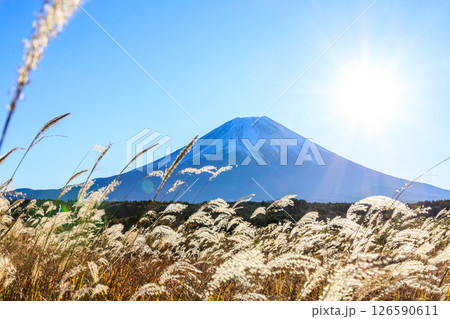 晴天の早朝に清々しい雄大な富士山 晴天の早朝に清々しい雄大な富士山 126590611