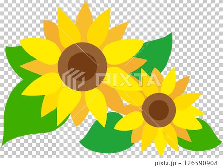 炎熱的夏天：大朵大朵的向日葵 126590908