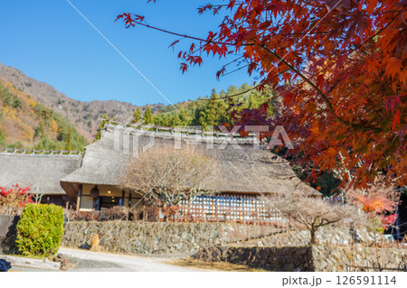 日本の原風景、秋真っ盛りの西湖いやしの里根場 126591114