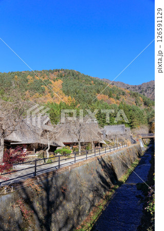 日本の原風景、秋真っ盛りの西湖いやしの里根場 126591129