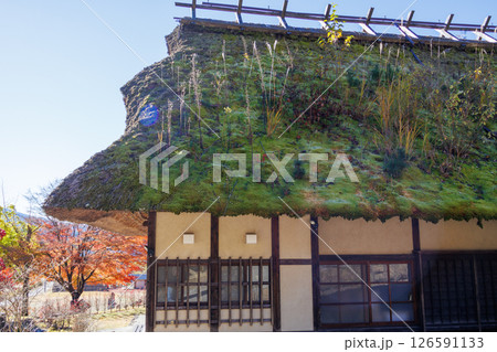 日本の原風景、秋真っ盛りの西湖いやしの里根場 日本の原風景、秋真っ盛りの西湖いやしの里根場 126591133