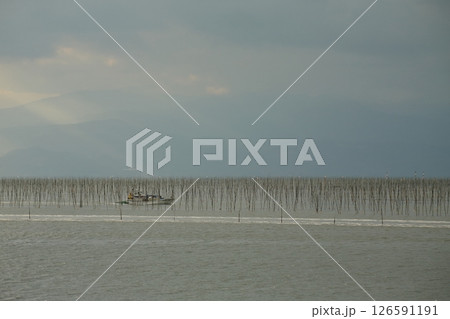 大牟田市 有明海 海苔畑、 大牟田市 有明海 海苔畑、 126591191