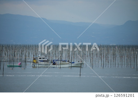 大牟田市 有明海 海苔畑、 大牟田市 有明海 海苔畑、 126591201