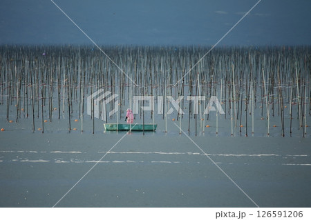 大牟田市 有明海 海苔畑、 大牟田市 有明海 海苔畑、 126591206