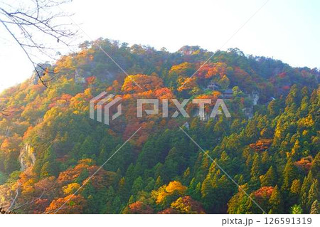立石寺　山寺　紅葉　黄葉 126591319