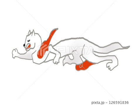 白虎が空を飛ぶイラスト 126591836