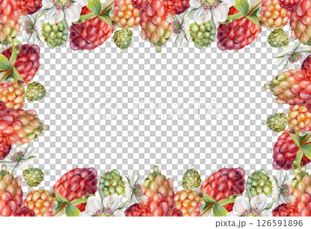 Raspberry ripe garden berries, flowers in water dew drops hand drawn in watercolor. Isolated border frame. Home preserves, kitchen linens prints, food store decor, recipe book, dessert menu, cards 126591896