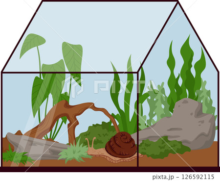 Terrarium for Snail with Rocks, Wood, Plants and Soil Isolated on White. Achatina Aquarium Habitat Setup for Exotic Pet Care. Vivarium Illustration for Nature Lovers 126592115