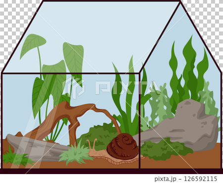 Terrarium for Snail with Rocks, Wood, Plants and Soil Isolated on White. Achatina Aquarium Habitat Setup for Exotic Pet Care. Vivarium Illustration for Nature Lovers 126592115