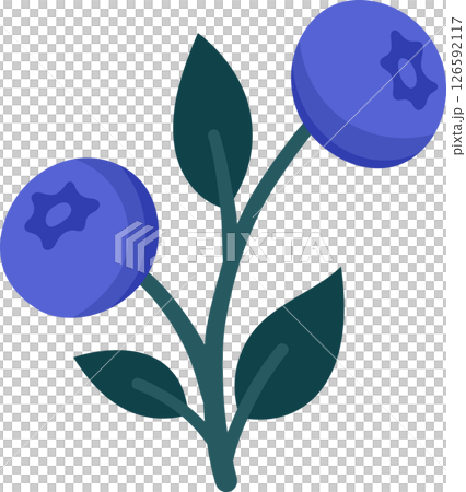 Hand Drawn Blueberry Branch with Ripe Berries and Leaves. Cute Botanical Illustration for Packaging, Kitchen Decor, Stickers, Labels, Logos, Farmers Market or Food Branding Hand Drawn Blueberry Branch with Ripe Berries and Leaves. Cute Botanical Illustration for Packaging, Kitchen Decor, Stickers, Labels, Logos, Farmers Market or Food Branding 126592117