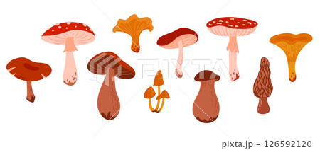 Set of Cartoon Wild Forest Mushrooms. Collection Edible and Poisonous Fungus: Morel, Amanita, Boletus, Porcini, Chanterelle, Honey Fungus Set of Cartoon Wild Forest Mushrooms. Collection Edible and Poisonous Fungus: Morel, Amanita, Boletus, Porcini, Chanterelle, Honey Fungus 126592120