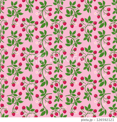 Ripe Raspberry Seamless Pattern with Branches, Berries, Flowers and Leaves on Light Pink Background. Juicy Fruit Hand Drawn Endless Design for Fabric, Wrapping Paper, Kitchen Textile or Packaging Ripe Raspberry Seamless Pattern with Branches, Berries, Flowers and Leaves on Light Pink Background. Juicy Fruit Hand Drawn Endless Design for Fabric, Wrapping Paper, Kitchen Textile or Packaging 126592121