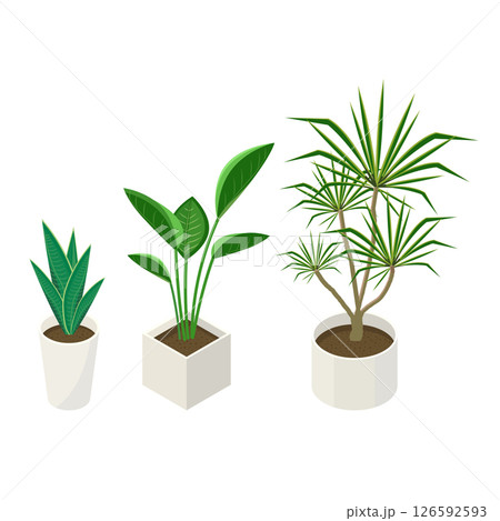 観葉植物のセット_アイソメトリックのイラスト 観葉植物のセット_アイソメトリックのイラスト 126592593