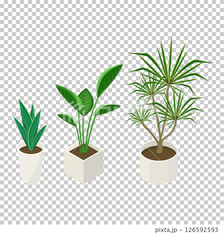 観葉植物のセット_アイソメトリックのイラスト 観葉植物のセット_アイソメトリックのイラスト 126592593