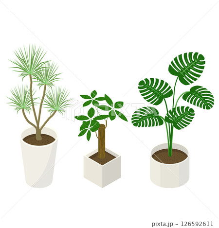 観葉植物のセット_アイソメトリックのイラスト 観葉植物のセット_アイソメトリックのイラスト 126592611