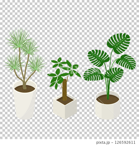 一組室內植物_等距插圖 126592611