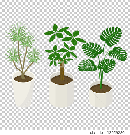 一組室內植物_等距插圖 126592864