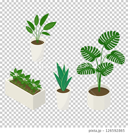 一組室內植物_等距插圖 126592865