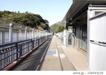 新たに完成した餘部橋梁と旧橋脚の線路跡 新たに完成した餘部橋梁と旧橋脚の線路跡 126593220