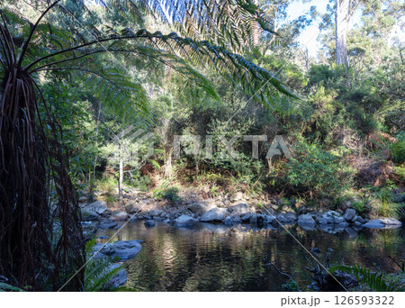 Cumberland River along Kalimna Falls trek, Great Ocean Road, Australia 126593322