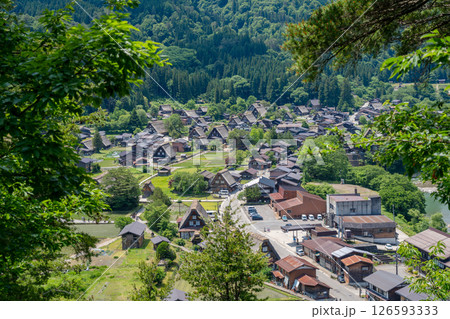 Traditional thatched houses of Shirakawa-go village in rural Japan. Panoramic view 126593333