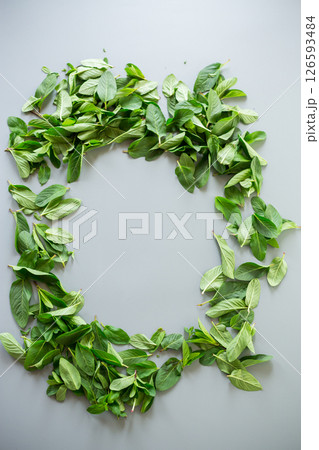Fresh green mint with water drops on a neutral background 126593484
