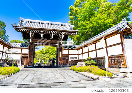 初夏の相楽園　正門　兵庫県神戸市中央区 126593508