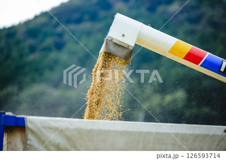 農業の風景 農業の風景 126593714