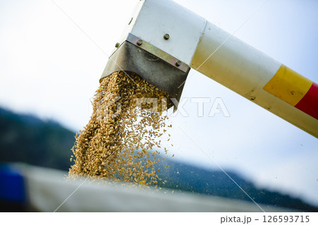 農業 農業 126593715