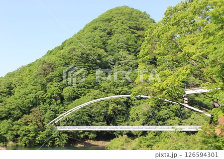 栃木県川治温泉　黄金橋と南平山 126594301