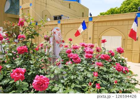 レオマ花ワールド　満開のバラ園 126594426