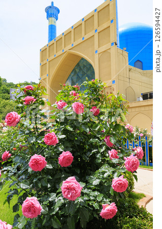 レオマ花ワールド　満開のバラ園 126594427