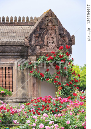 レオマ花ワールド 満開のバラ園 レオマ花ワールド 満開のバラ園 126594447