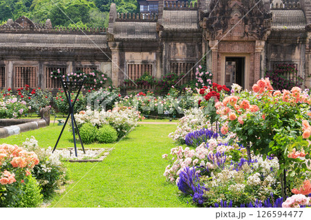 レオマ花ワールド　満開のバラ園 126594477