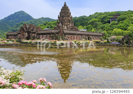 レオマ花ワールド　満開のバラ園 126594493