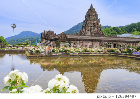 レオマ花ワールド 満開のバラ園 レオマ花ワールド 満開のバラ園 126594497