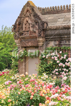 レオマ花ワールド　満開のバラ園 126594515