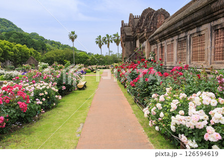 レオマ花ワールド　満開のバラ園 126594619